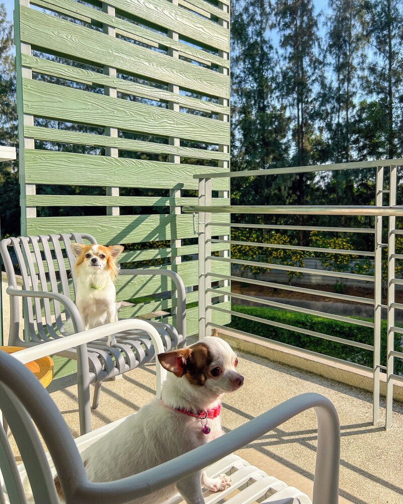Garden view