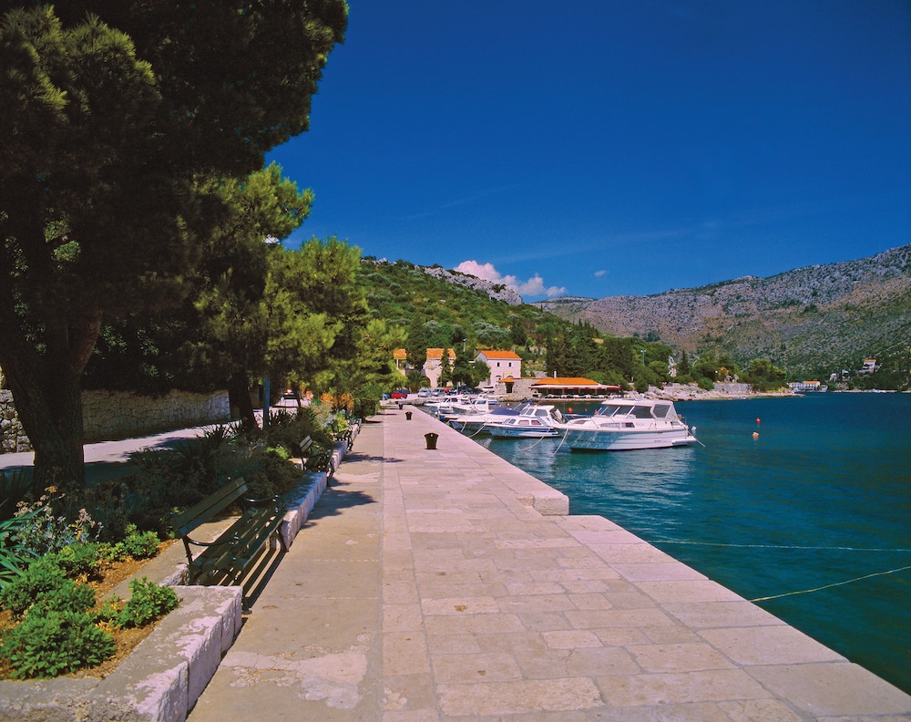 Dock