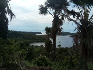 thumbnail: View from property