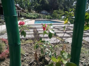 thumbnail: View from property