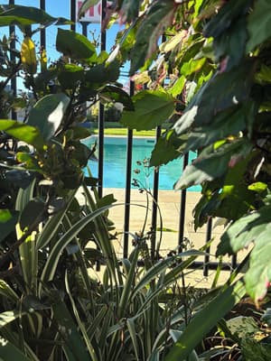 thumbnail: Outdoor pool