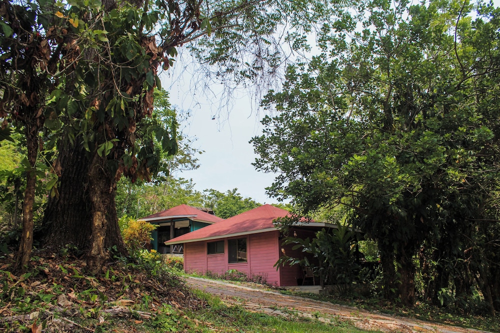 Primary image
