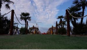 thumbnail: 39970927.jpg