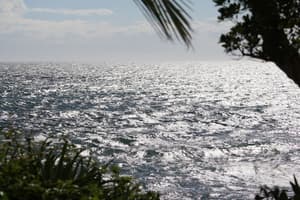 thumbnail: View from property