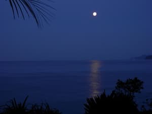 thumbnail: View from property