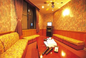 thumbnail: Karaoke room