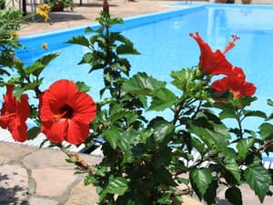 thumbnail: Outdoor pool