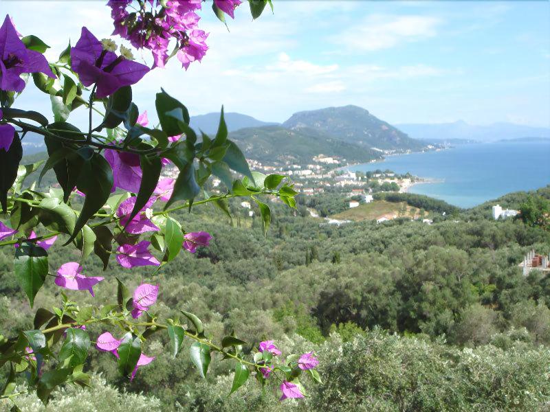 General view