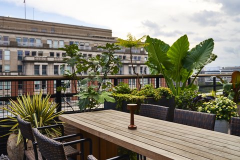 Wild Days Rooftop Bar Patio