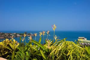 thumbnail: General view