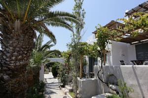 thumbnail: Terrace/patio