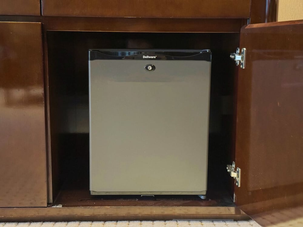 Mini-refrigerator