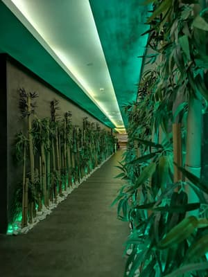 thumbnail: Spa reception