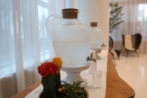 thumbnail: Food and drink