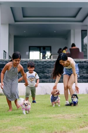 thumbnail: Pet-friendly