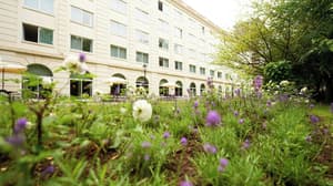 thumbnail: Garden