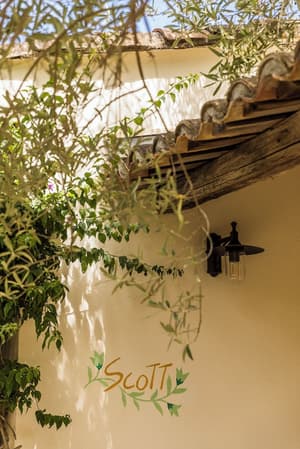 thumbnail: Garden