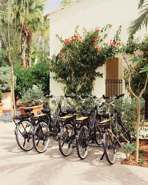 thumbnail: Bicycling
