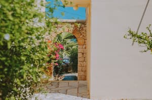 thumbnail: Garden