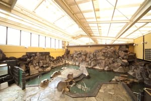 thumbnail: Hot springs