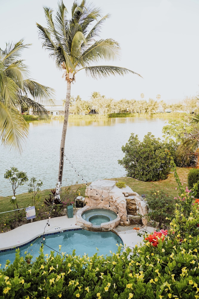Lake view