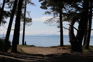 thumbnail: Beach