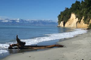 thumbnail: Beach
