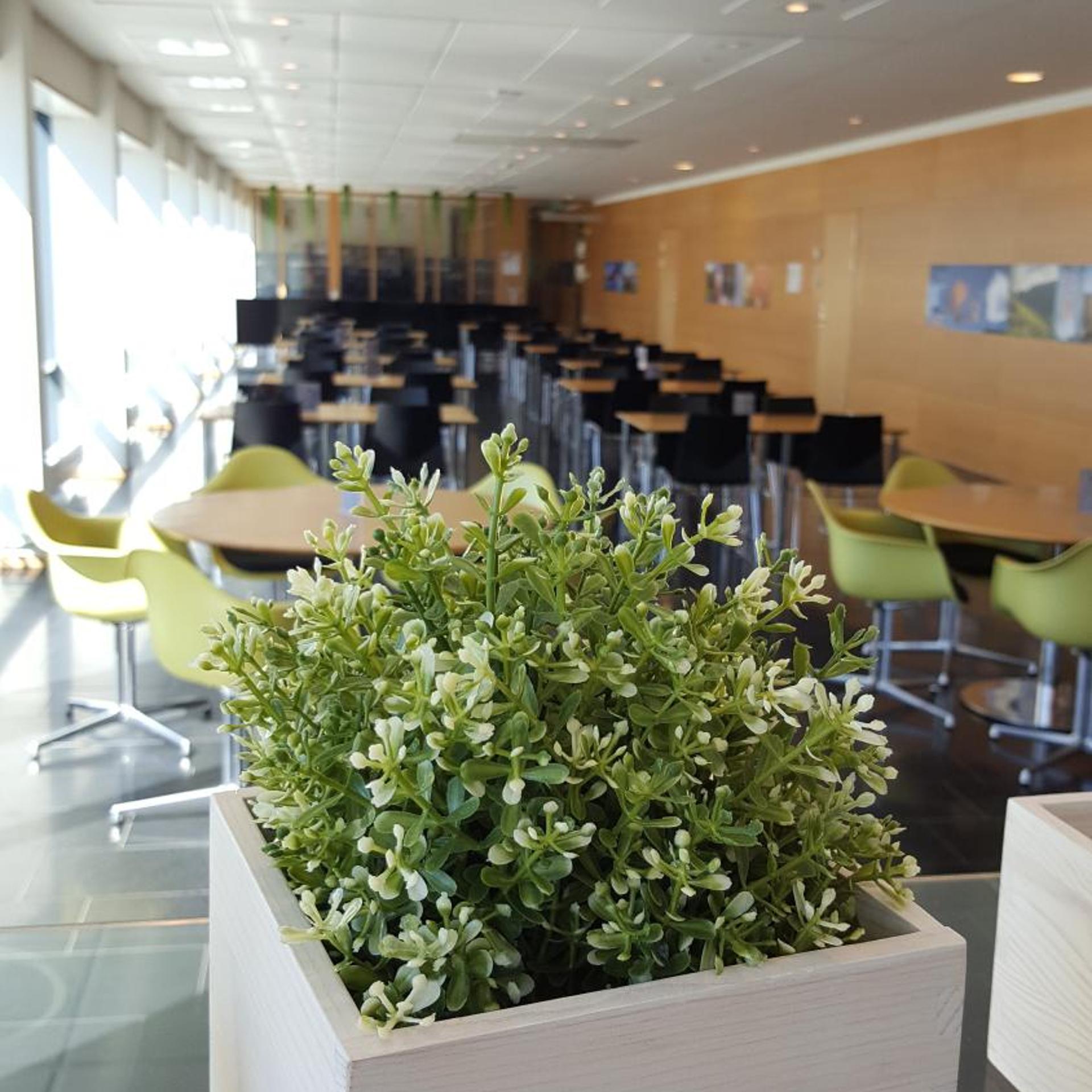 Restaurant-cafeteria