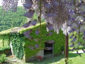 thumbnail: Exterior
