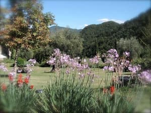 thumbnail: Garden