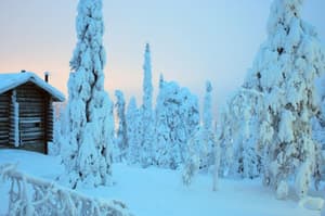 thumbnail: View from property