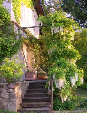 thumbnail: Property entrance