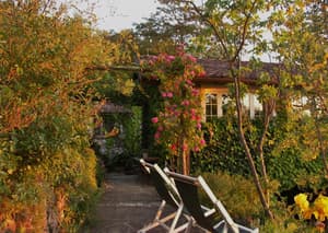 thumbnail: Terrace/patio