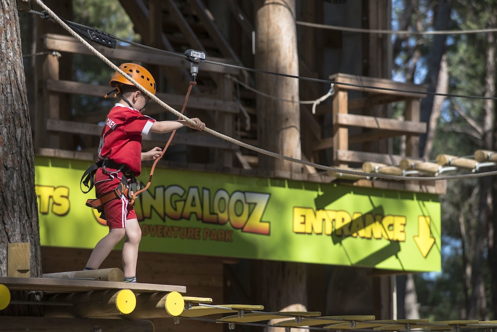Ropes course (team building)