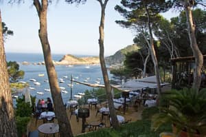 thumbnail: Restaurant