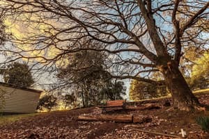 thumbnail: Property grounds