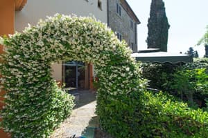 thumbnail: Garden