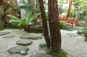 thumbnail: General view