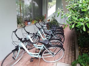 thumbnail: Bicycling