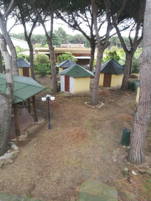 thumbnail: View from room