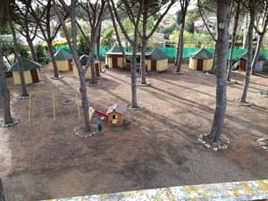 thumbnail: View from property