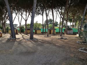 thumbnail: Garden
