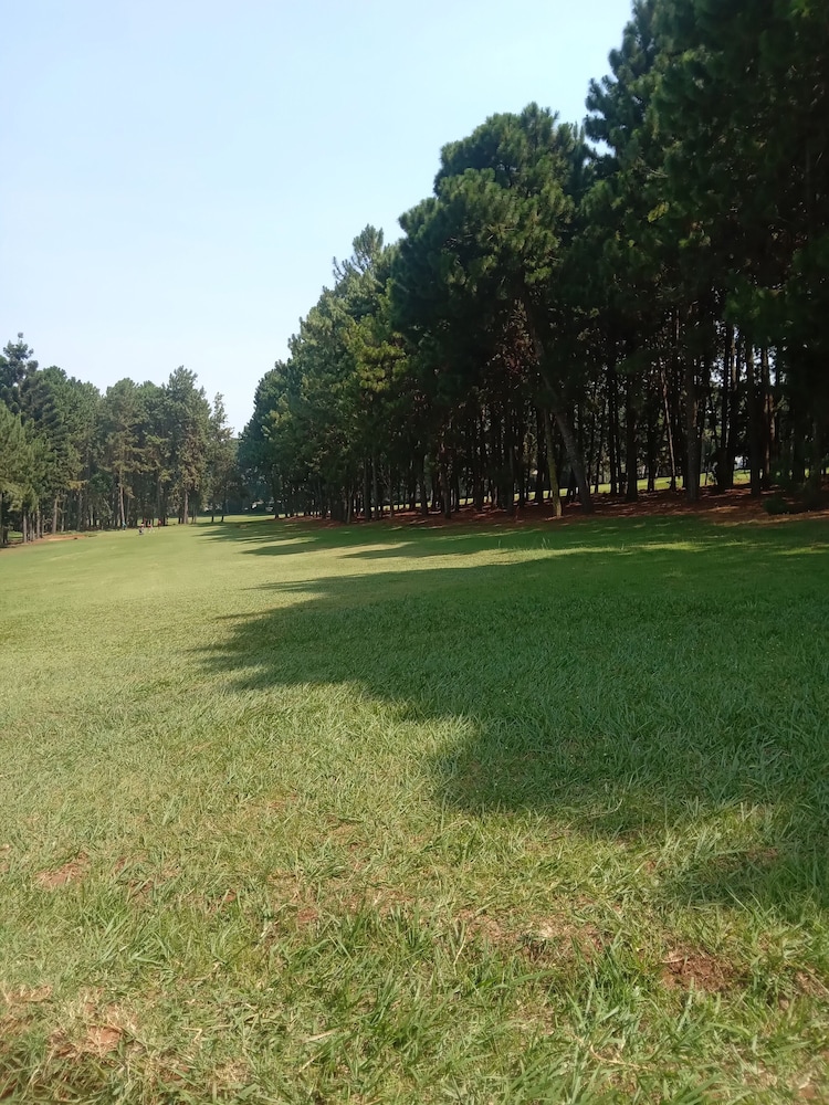 Golf view