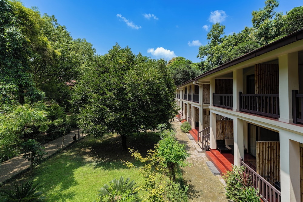 Garden view