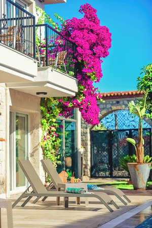 thumbnail: Front of property
