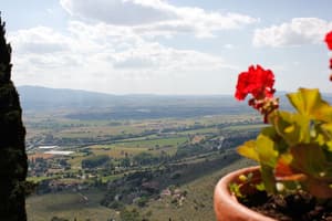 thumbnail: View from property
