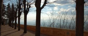 thumbnail: Property grounds