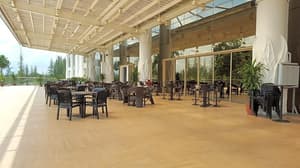 thumbnail: General view