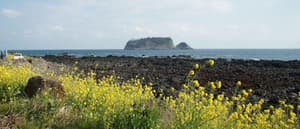 thumbnail: General view