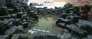 thumbnail: General view